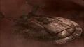 Enterprise in polaric field.jpg