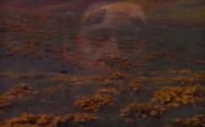 Psychotronic stability examination 1.jpg