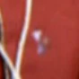 Dress uniform Dickerson.jpg (2 KB) Dress uniform Dickerson