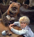 Wicket cindel.jpg