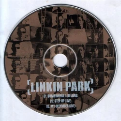 SomewhereIBelong-Disc
