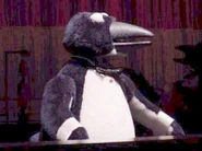 Nicky Napoleon and His Emperor Penguins