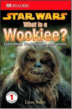 WhatIsAWookiee-DKReader-PB