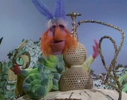 Floydcaterpillar