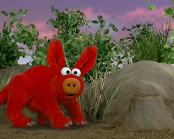 Elmoaardvark