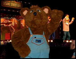 Baby Bear Live