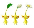 Normal yellowpikmins.jpg