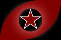 ICSN flag