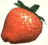 Thumb combustionberry