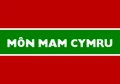 Anglesey flag.png