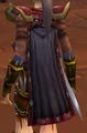 CapeOfTheBrotherhood.jpg