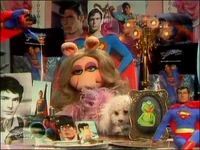 Piggysuperman.jpg
