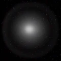 Praxillus nova.jpg