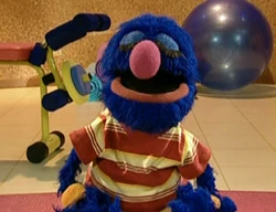 Eyelids.grover