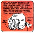 Bebebebeque comic.jpg