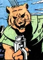 Detail wristwatch plantation comic.jpg