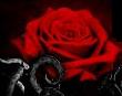 Deathrose Herb