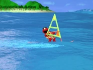 Elmowindsurfer