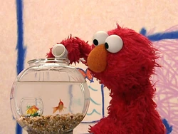 ElmosWorld.Pets
