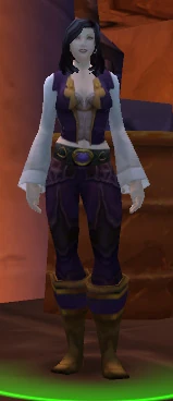 Stormwind Commendation Officer