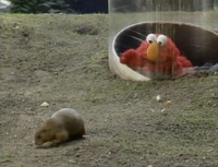 2356-37.jpg