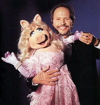 Celeb.crystal