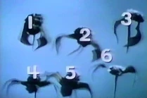 Episode 0101