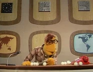 Muppet News Flash