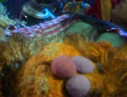 Eyelids.fozzie