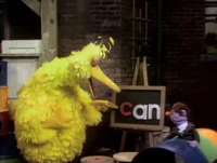 Bigbirdanpoem.jpg