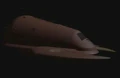 Brunts shuttle.jpg