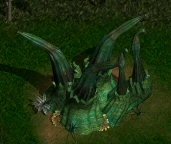 Nocturnal crawling spine