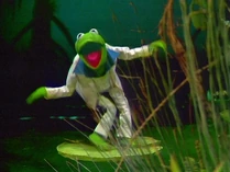 Discofrog-muppetshow