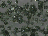 NanoSondes.jpg