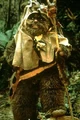 Paploo, ewok.jpg