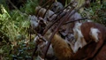 Überraschungsangriff Ewoks.jpg