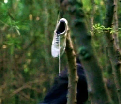 Lost - whiteshoe.jpg