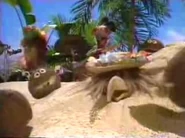 Sweetvacationcoconuts