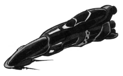 Ferret-class reconnaissance vessel.jpg