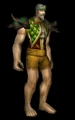Sylvan Set.jpg