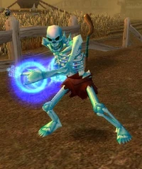 Skeleton mage