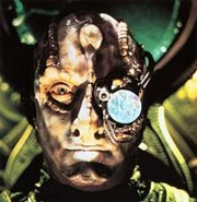 Borg cardassian