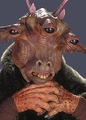 Ask AAk.jpg