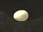 Chocobo Raising