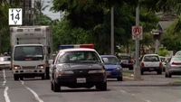 Auto-analucia-squad1.jpg