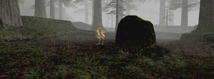 Zitah-sanctuary-pic.jpg