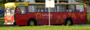 Autobus