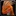 Ability hunter pet windserpent