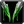 Ability rogue dualweild