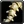Inv misc bone 03